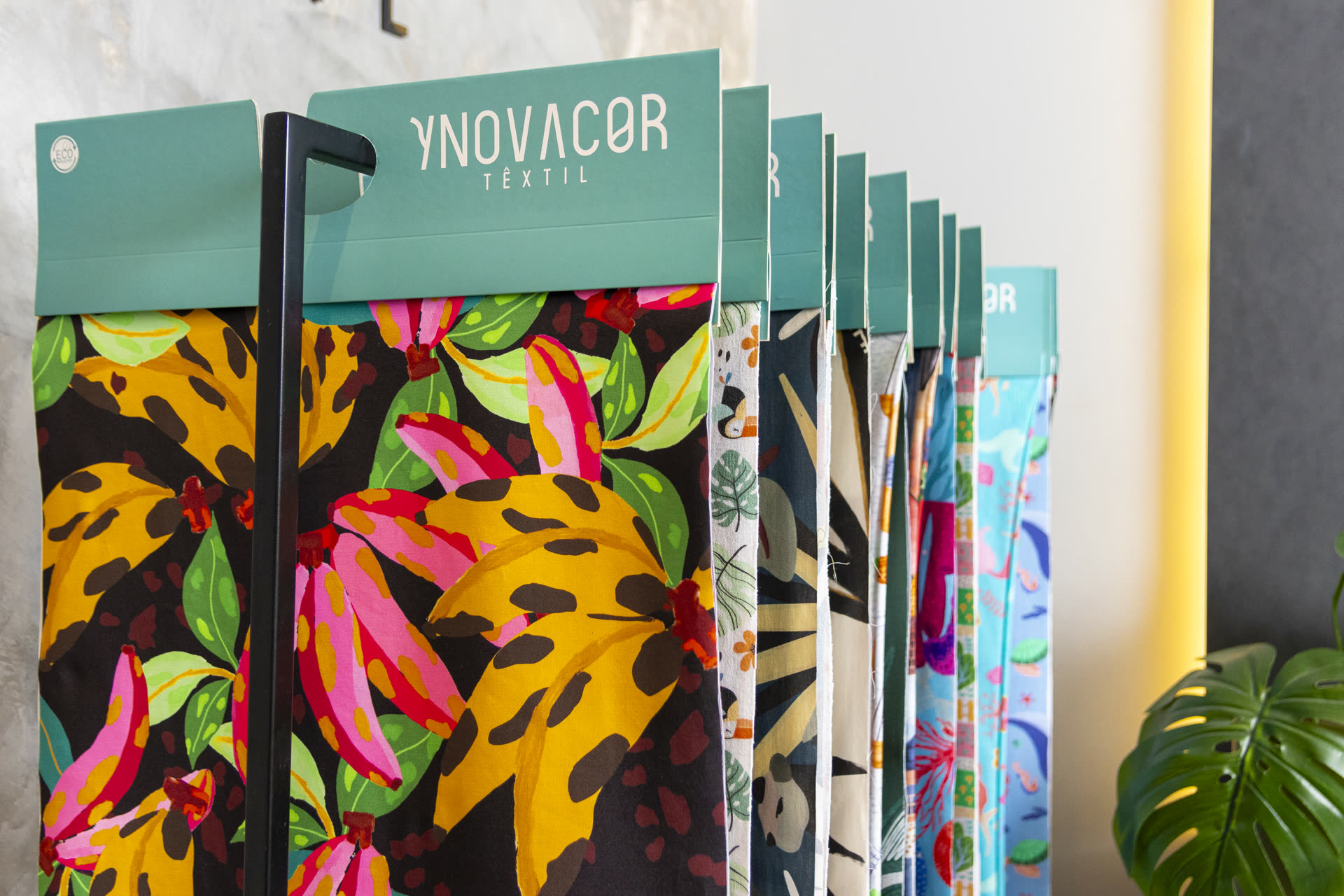 Showroom Ynovacor